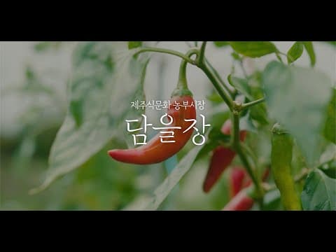 한살림제주 '담을장' 스케치 영상