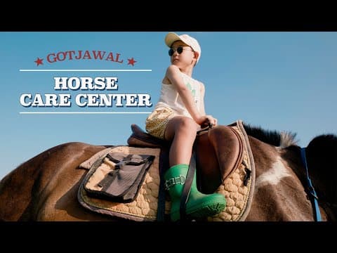 곶자왈 말구조보호센터 안내 영상